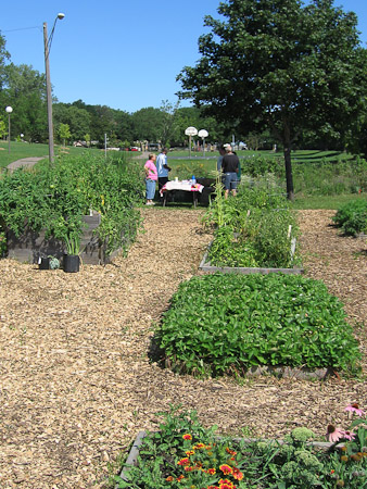 Minneapolis Local Food Initiatives