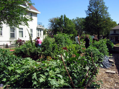 Community Garden